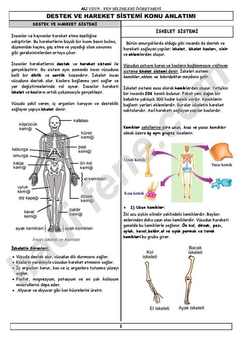 2 ÜNİTE VÜCUDUMUZDAKİ SİSTEMLER DESTEK VE HAREKET SİSTEMİ Hadi Fene