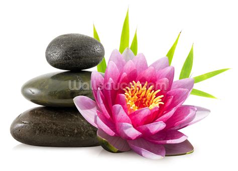 Lotus Flower Zen Wallpaper Wall Mural Wallsauce Usa