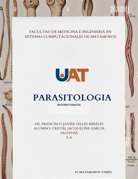 Segundo parcial parasitología SEGUNDO PARCIAL Tricomoniasis La