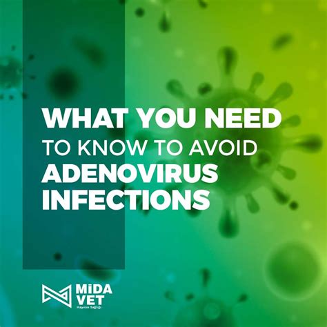 What You Need To Know To Avoid Adenovirus Infections