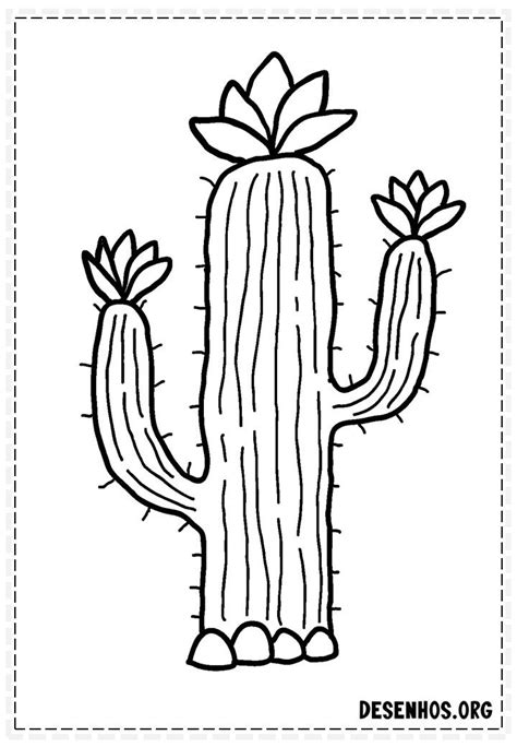 Desenhos De Cactos Para Colorir Cactos Desenho Arte Cactos