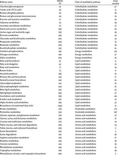 Human metabolism pathway for KEGG. | Download Table