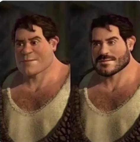 Shrek podía ser más perfecto Meme subido por Alvaro el Crack