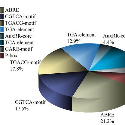 Cis Acting Element Analysis Of The Promoter Regions Of Pncyp Genes