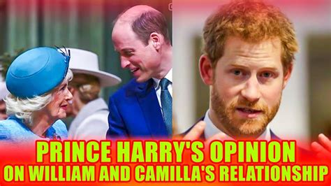 Prince Harry S Shocking Confession Of What S Behind William And Camilla