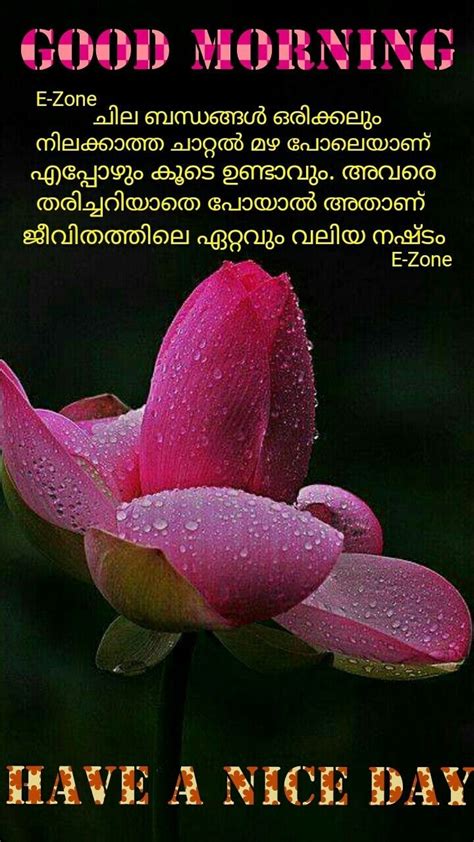 Pin By Eron On Good Morning Malayalam Good Morning Wishes