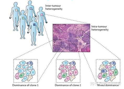 单纯由突变有无以及突变丰度来解释癌症不准确 知乎