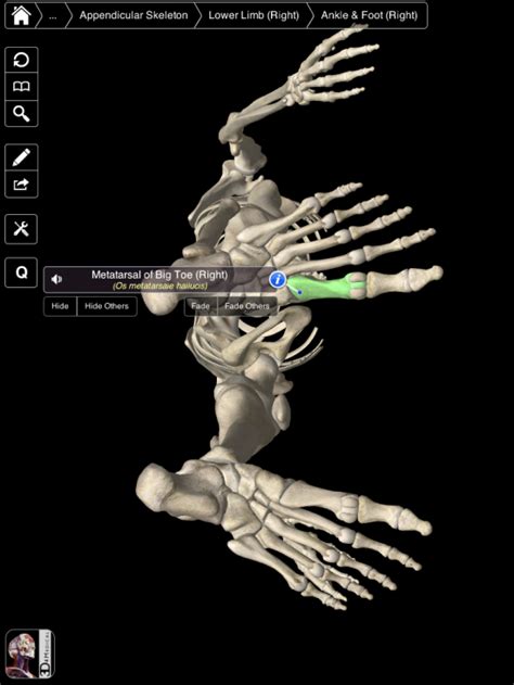 Essential Skeleton An Excellent Ipad App For Students Ipad Apps