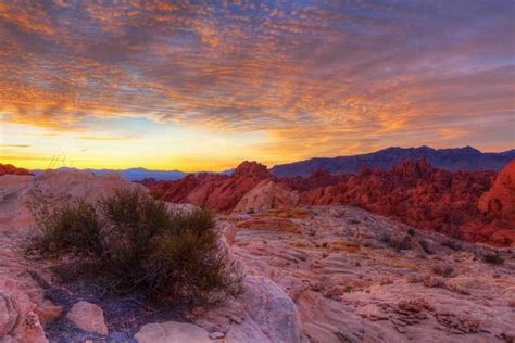 The Beautiful Nevada Desert