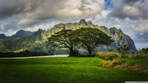 Oahu Wallpapers Wallpaper Cave