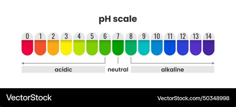 Ph Scale Indicator Color Chart Diagram Acidic Vector Image