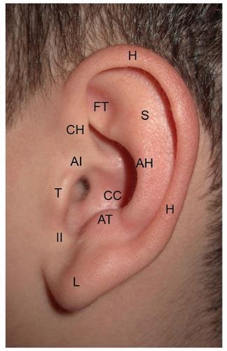 External Ear Tumors