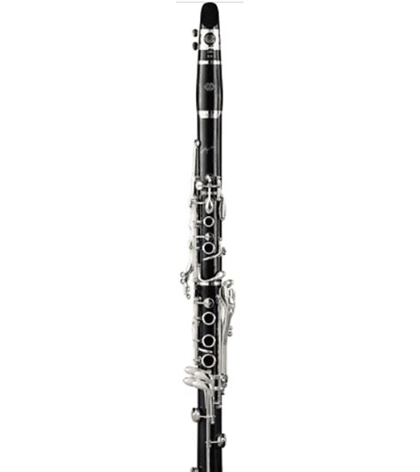 10 Best Selmer Clarinet Reviews 2022 - CMUSE