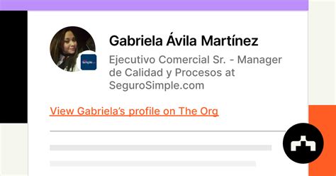 Gabriela Ávila Martínez Ejecutivo Comercial Sr Manager De Calidad Y Procesos At