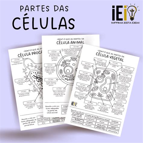 Partes das Células Imprima esta Ideia