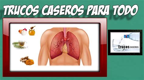 Remedios Caseros Para La Bronquitis Cronica Tratamientos Naturales