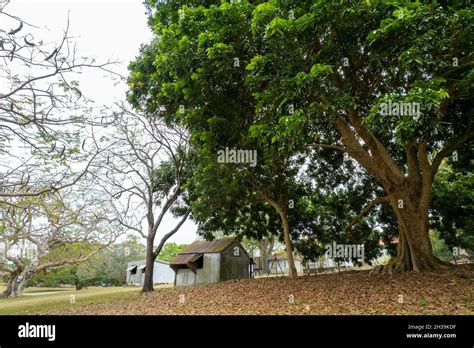 Tin Huts Corrugated Hi Res Stock Photography And Images Alamy