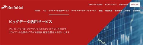 ビッグデータとは？最新の定義から活用事例まで基礎知識をわかりやすく解説 データで越境者に寄り添うメディア データのじかん