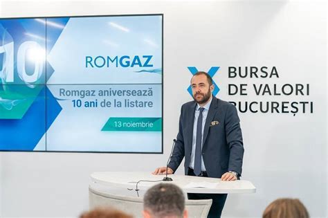 Va Intra Romgaz Mai Puternic Pe Segmentul De Furnizare Cere Softuri