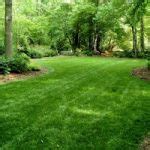 Spring Lawn Renovation Growing A Greener World