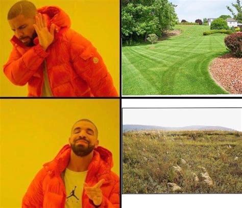 Drakeposting Anti Lawn Memes Know Your Meme