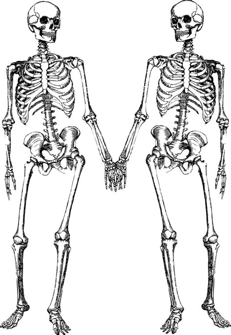 Two Skeletons Mini Art Print By Igorsin Mini Art Skeleton Art Skeleton Sticker