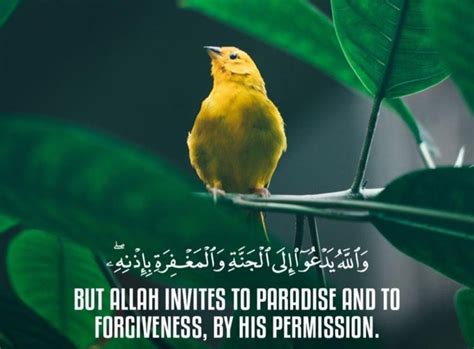 Hadith Quotes Islamic Quotes Quran Islam Quran Quran Quotes Dad