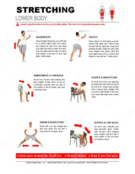 Lower Body Stretching Guide