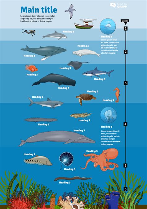 sea levels  animals infographic templates