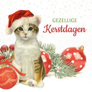 Kerstkaart Schattige Kat Met Kerstmuts Kaartje2go