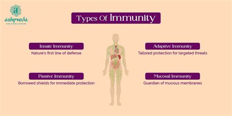 Types Of Immunity In Our Body Ashpveda Blog