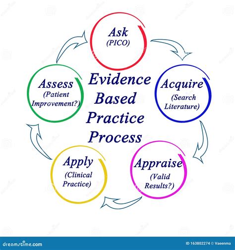 Evidence Based Practice Process Stock Illustration Illustration Of