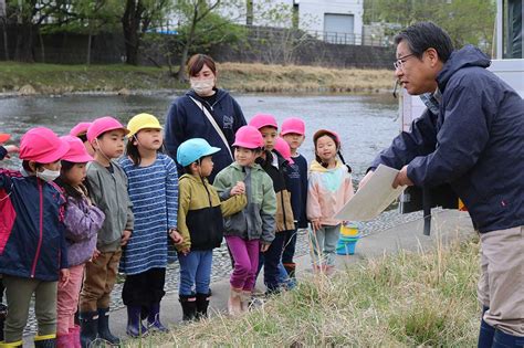 「元気で帰ってきてね～」 かまいしこども園児が甲子川にサケの稚魚5000匹放流 かまいし情報ポータルサイト〜縁とらんす