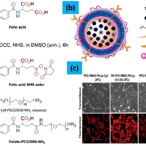 Illustration Of The Bioimaging Process For Cancer Cells Using Gold