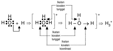 Jelaskan Proses Pembentukan Ikatan Kovalen Koordinasi Pada Senyawa H3o Mas Dayat