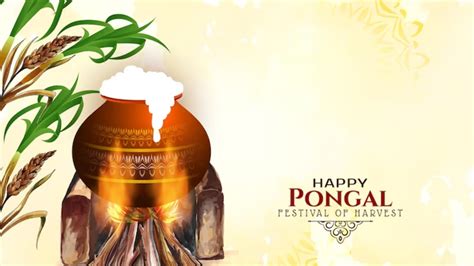 Happy Pongal 2024 Best Wishes Images Messages Whatsapp And Facebook