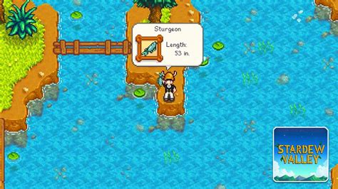 Stardew Valley - Where to Catch Sturgeon - Gamer Empire