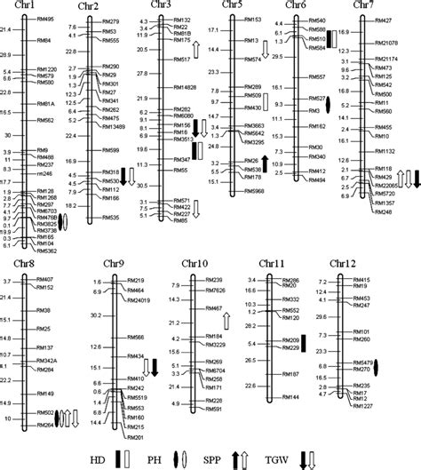 Genetic Linkage Map Showing Qtl Positions Detected In The Ril