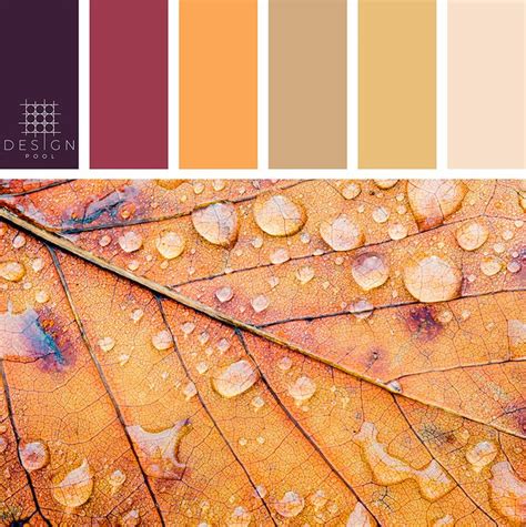 Fall Leaf Color Palette | Color palette design, Color palette, Pool colors