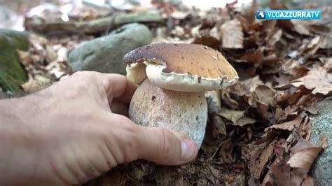 Ancora Una Vittima In Montagna Cercatore Di Funghi Precipita In Un