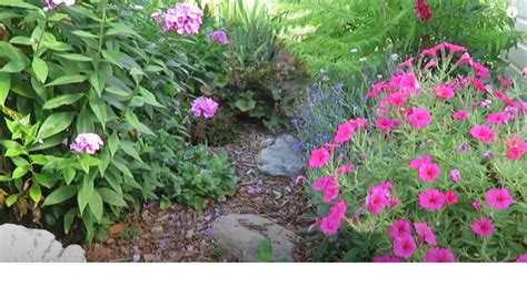 Creating a Cottage Style Garden - Davee Kilian