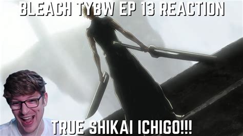 Ichigo Gets His New Zanpakuto True Shikai Ichigo Bleach Tybw