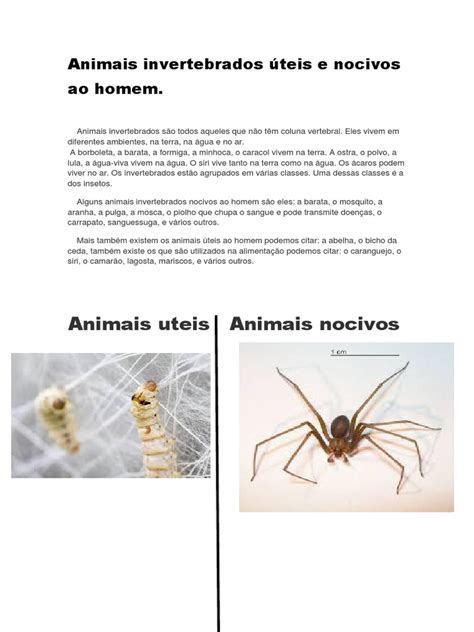 Animais Nocivos E Uteis - Animais Úteis e Nocivos Ao Homem | PDF