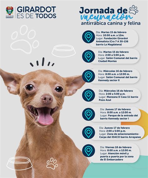 cronograma de vacunación antirrábica para perros y gatos