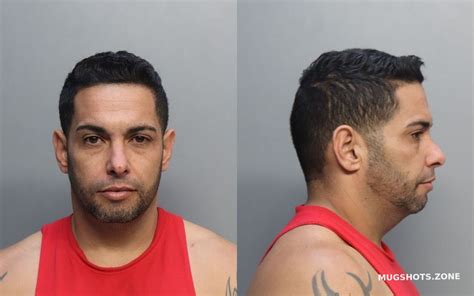 Pita Hernandez Alfredo Miami Dade County Mugshots Zone