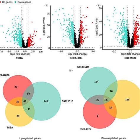 Differentially Expressed Genes And Common Differentially Expressed