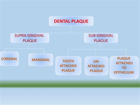 Dental plaque | PPT