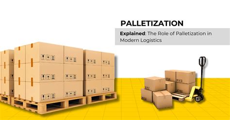 The Importance Of Palletization In Modern Logistics Tiger Logistics