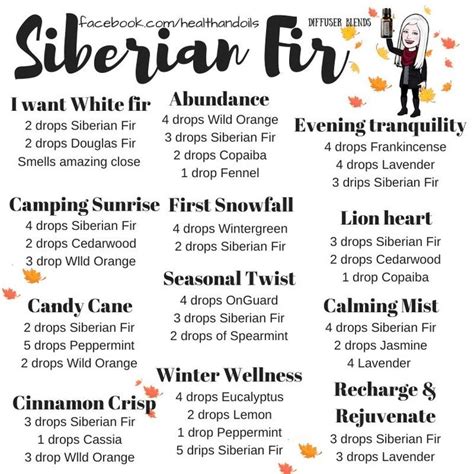 Siberian Fir Wild Orange Copaiba Douglas Fir Diffuser Blends