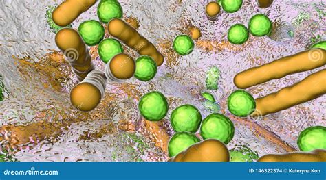 Biofilm De Bacterias Barra formadas Y Esf ricas Stock de ilustración